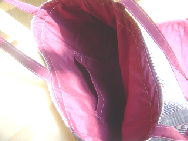 �����ɂ��|�P�b�g