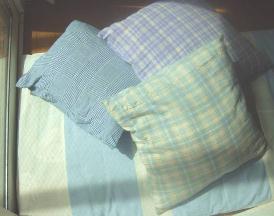 �N�b�V�����������z�c�J�o�[