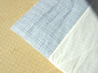 �u���[�`�F�b�N�Ɛ�����̕z