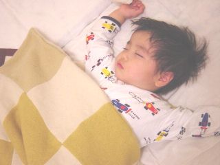 �y���������B�B�B