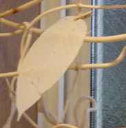 �����͂���